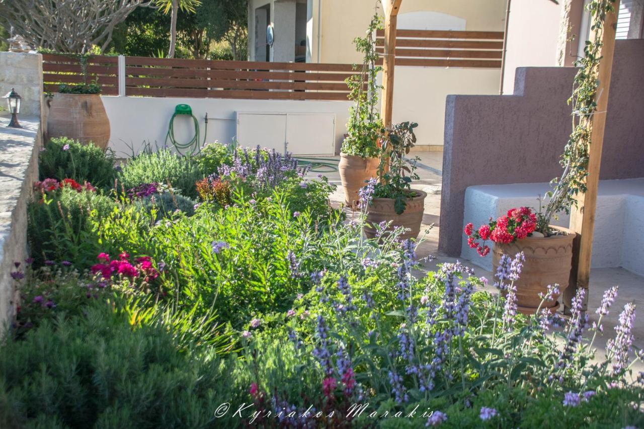 La Casa Del Vitsi Apartment Palaiochora Luaran gambar
